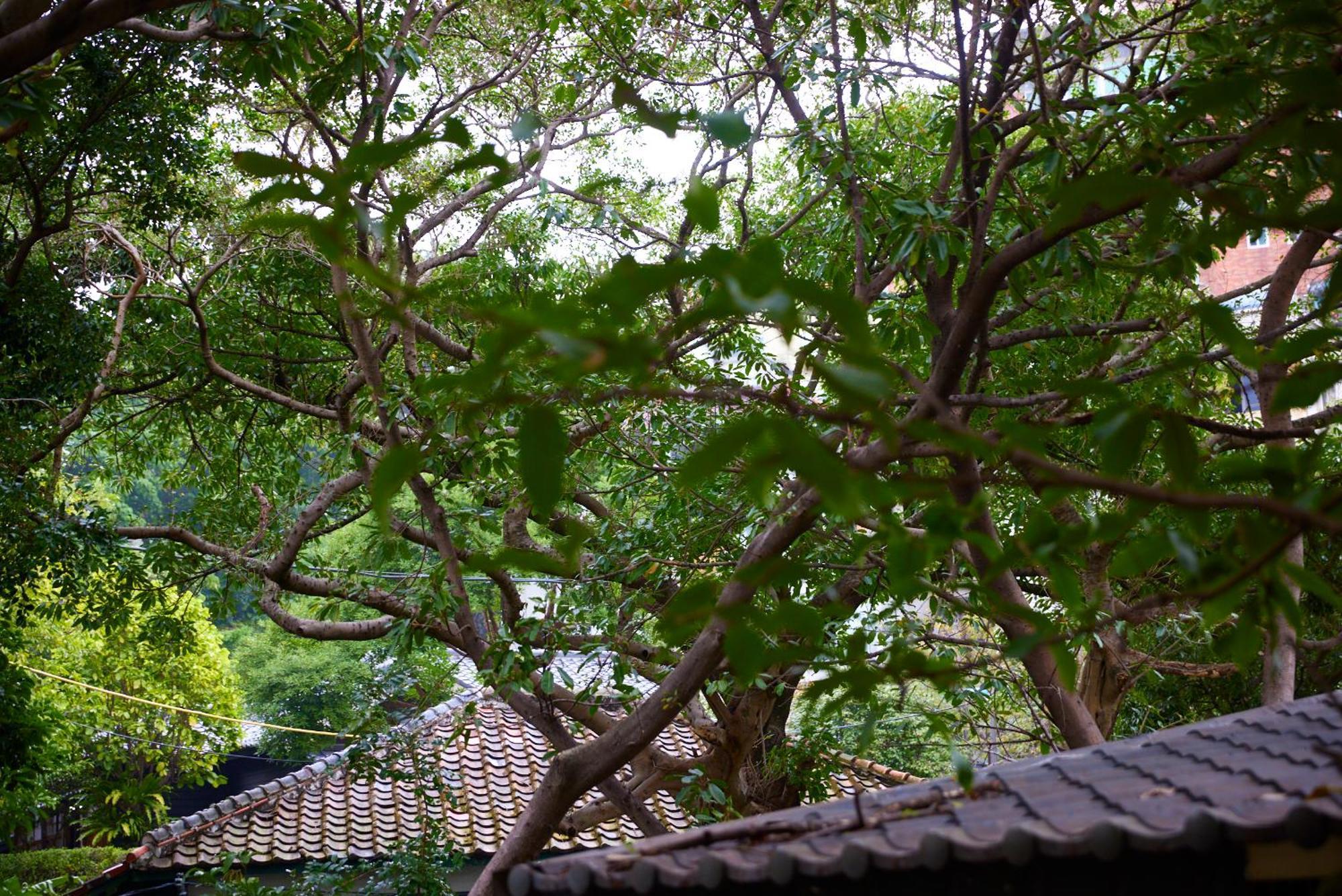 Kyokusui Hotspring Hotel Taipeh Exterior foto